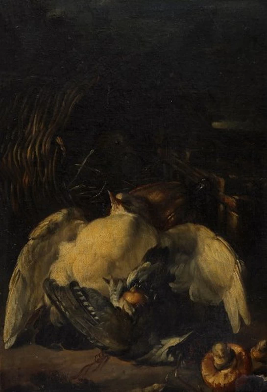 Natura morta con uccello